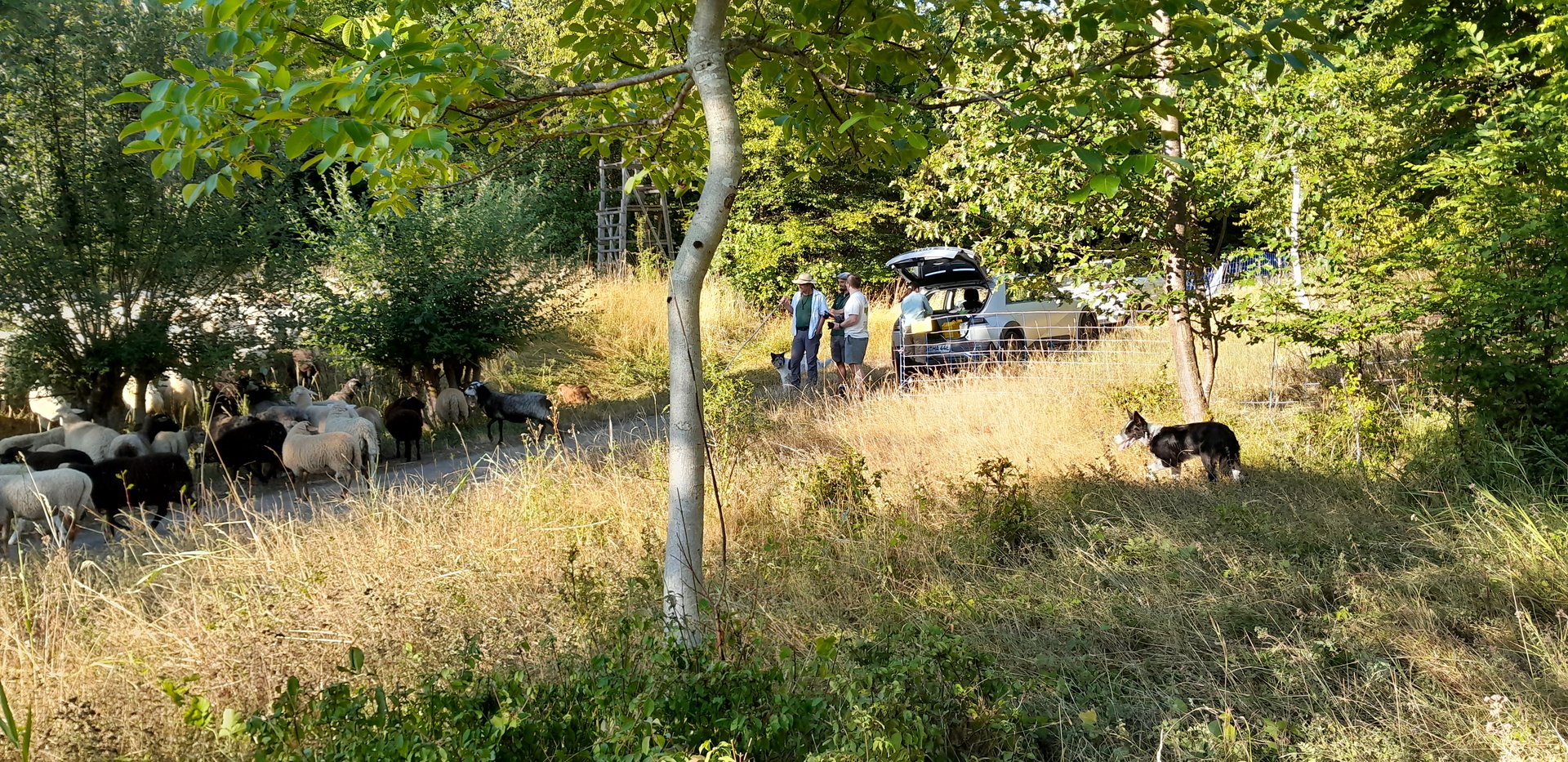Vorbereitung der Dreharbeiten